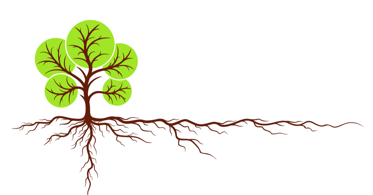 Resolución estructurada de problemas Resolución estructurada de problemas